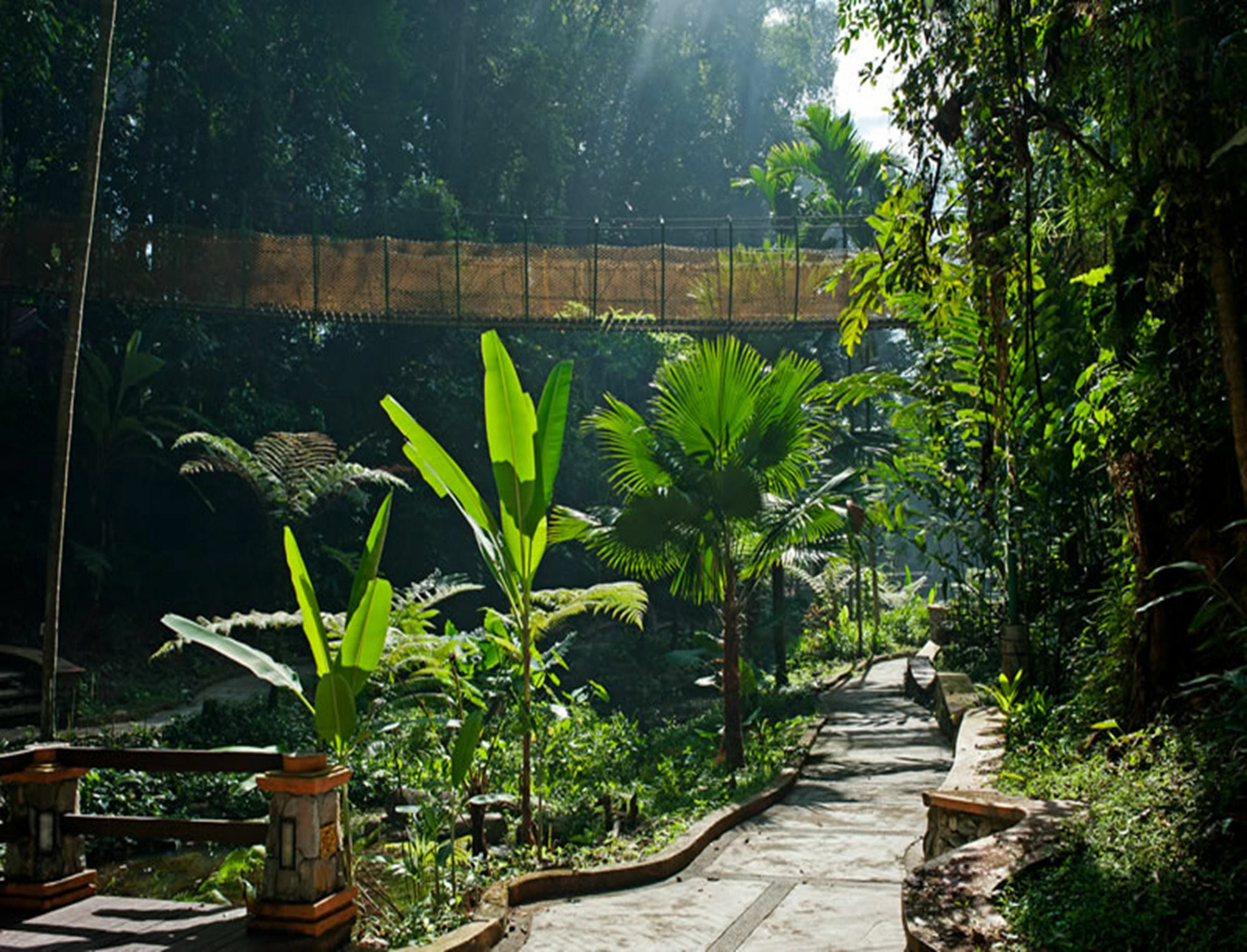 Royale Chulan Seremban Kültér fotó The path to the cave